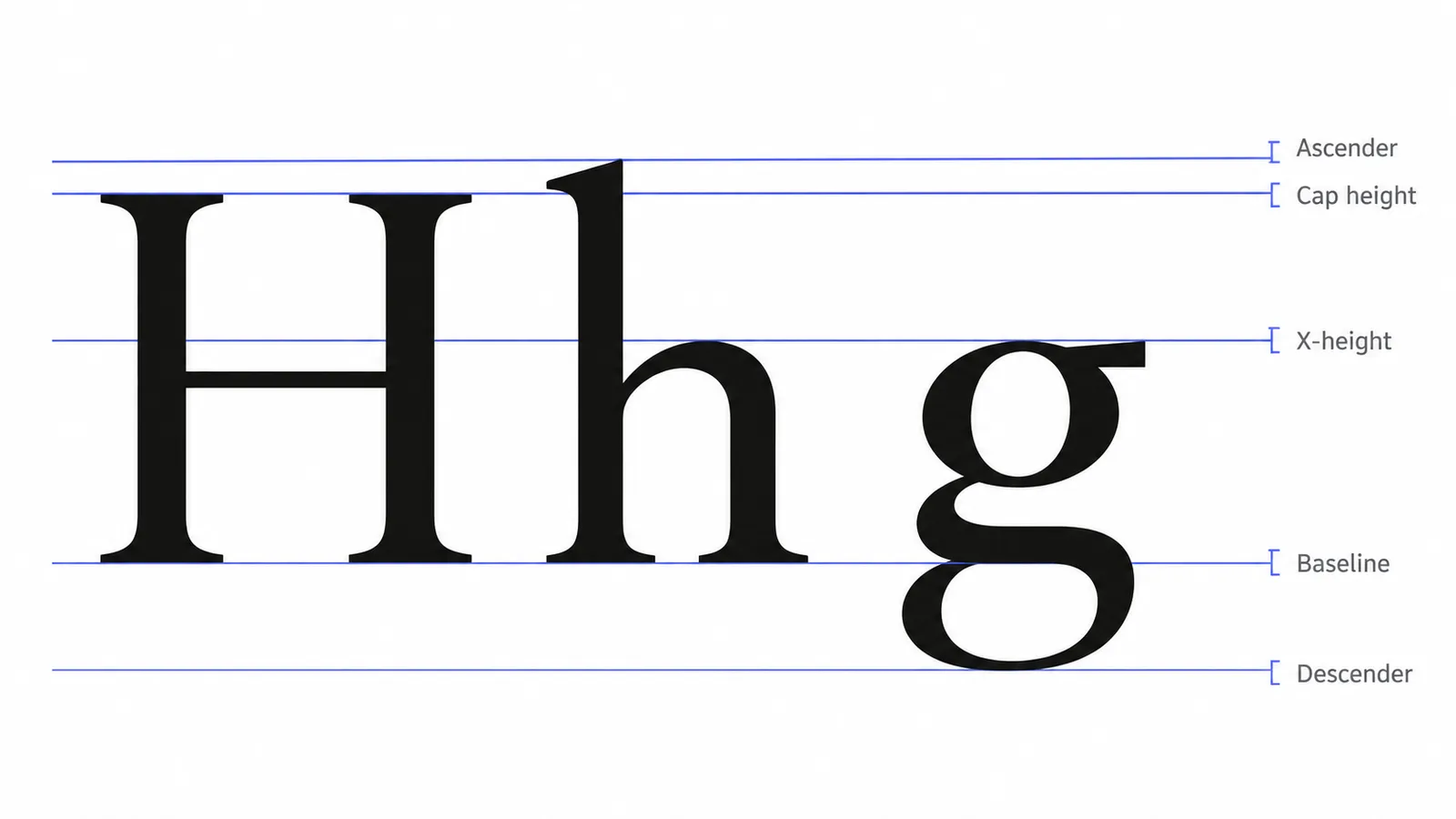 Diagram of letter anatomy labelling the baseline, x-height, cap height, ascender and descender on the letters H, h and g.